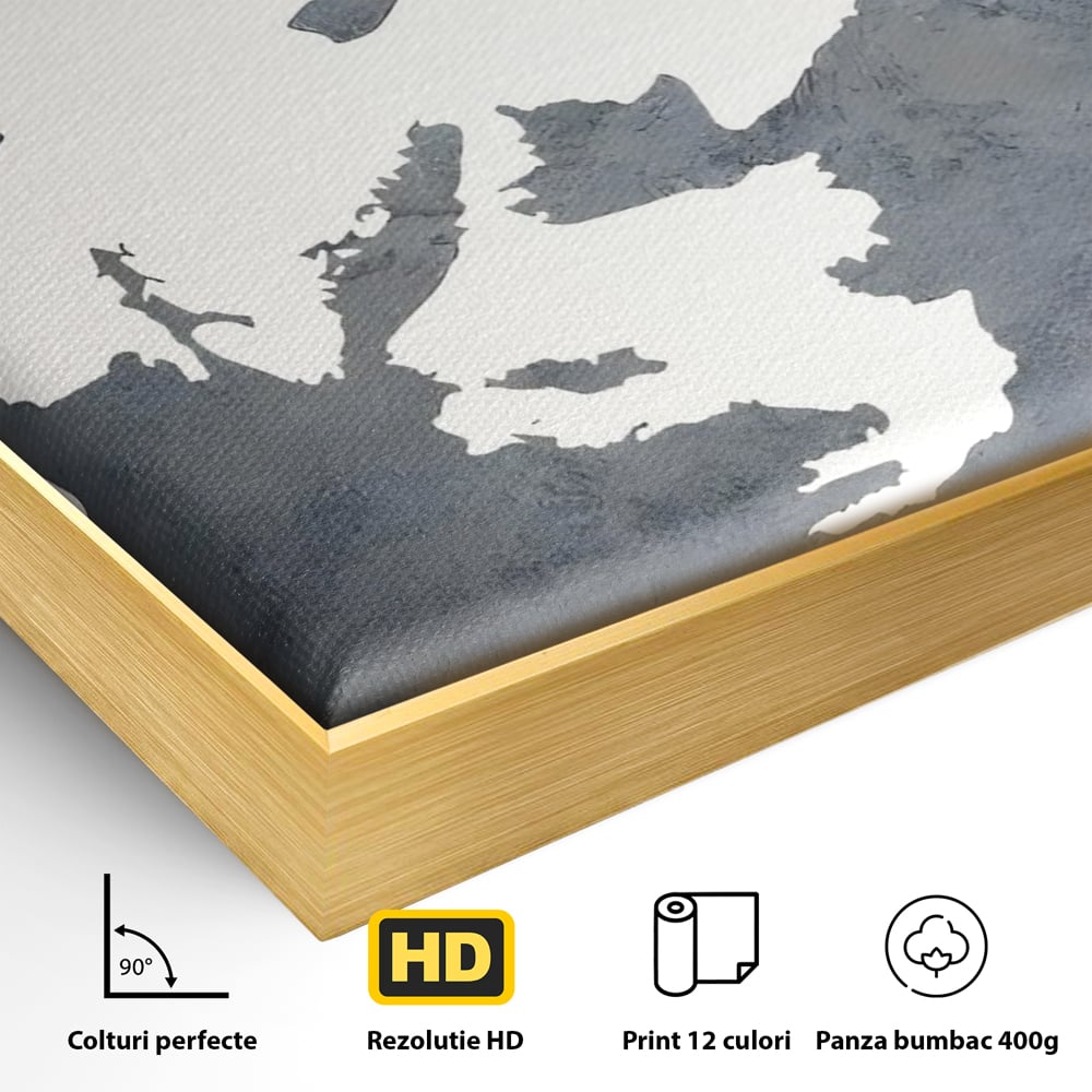 Detaliu al suprafetei: tablou canvas cu portret stilizat, in rama de aluminiu auriu